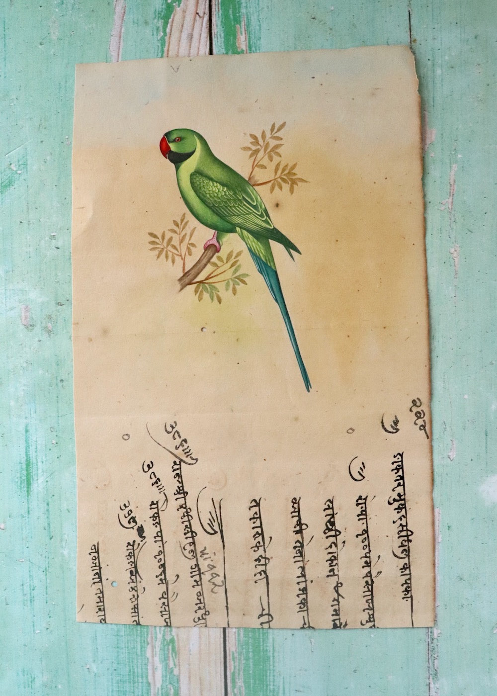 Indian Bird Painting - 141
