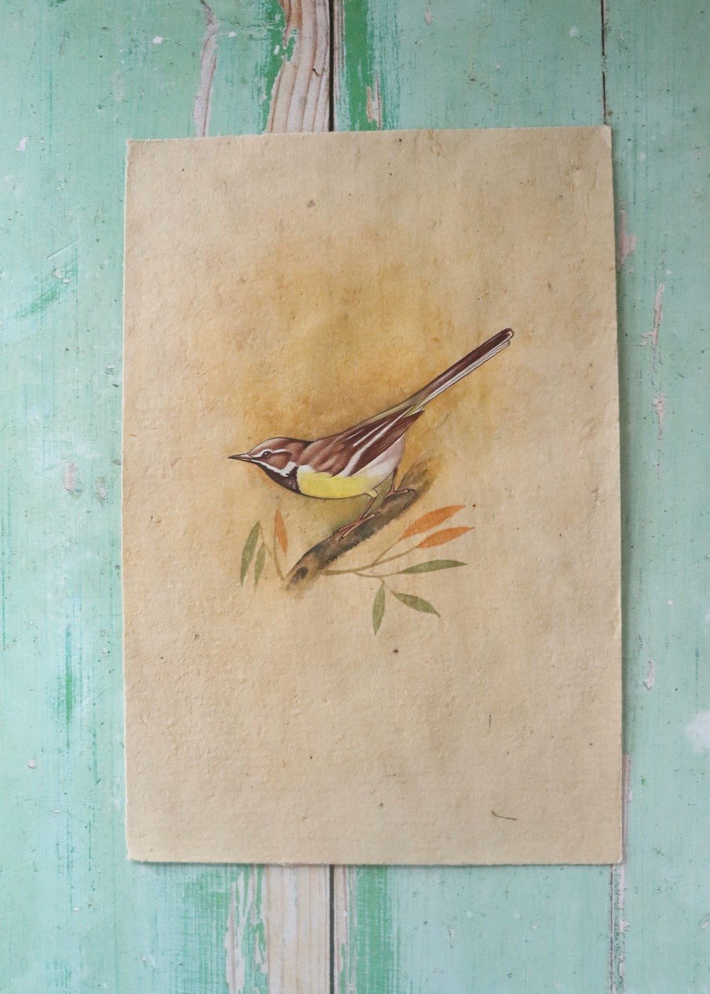 Indian Bird Painting - 144