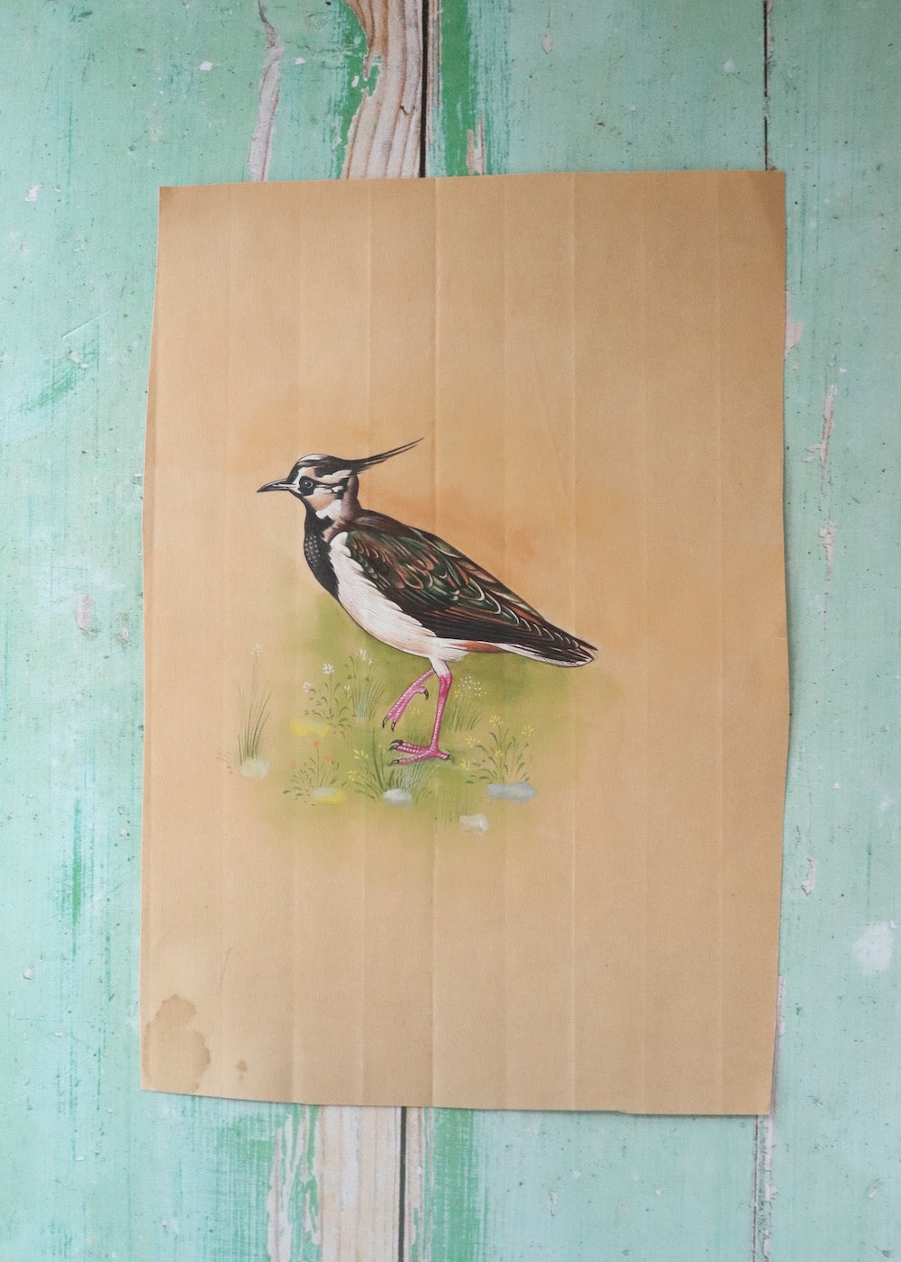 Indian Bird Painting - 143