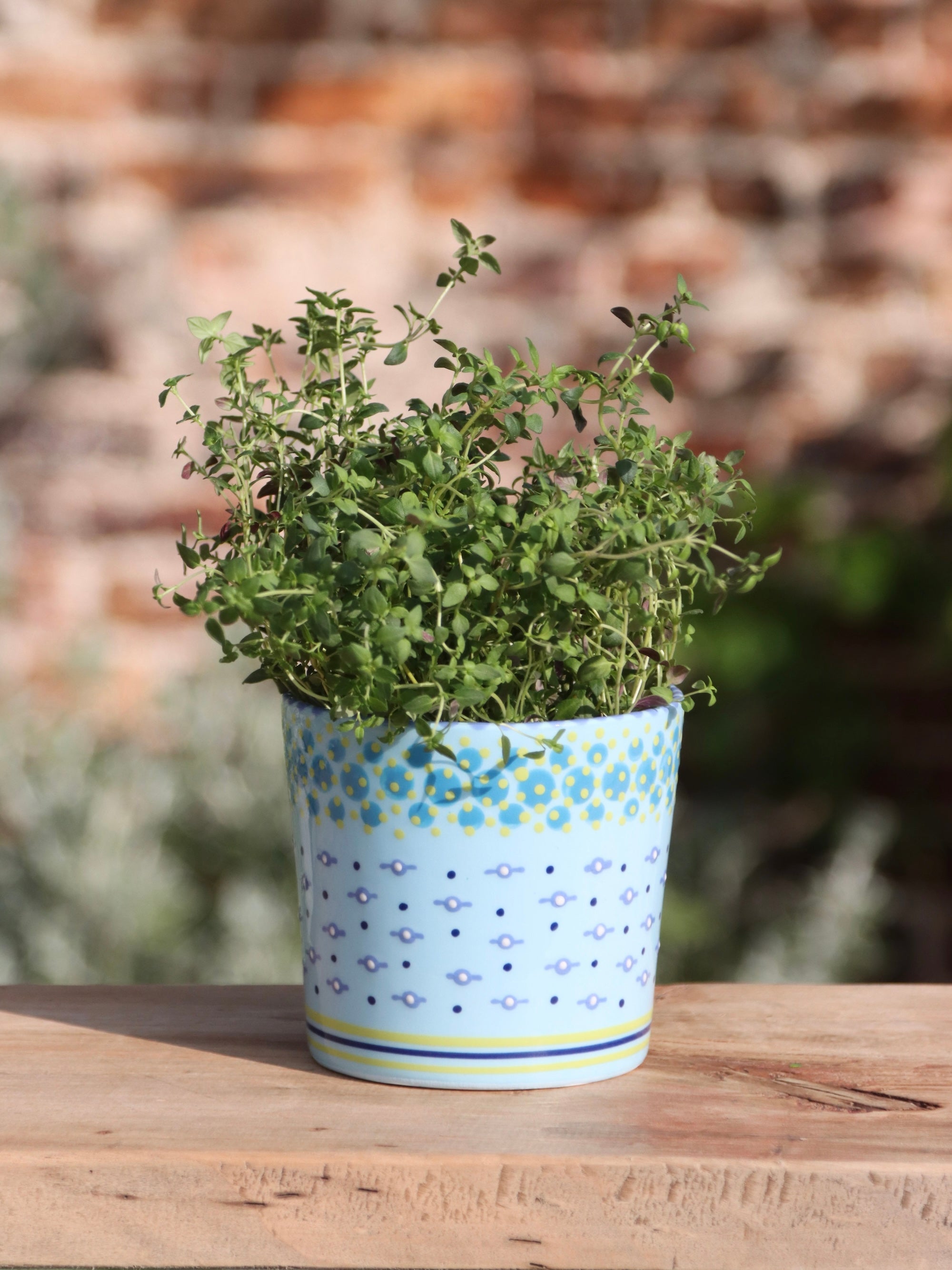 Herb Pot - Pale Blue