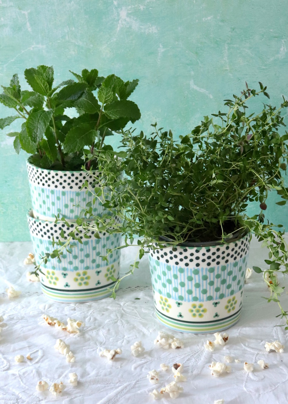 Herb Pot - White, Teal & Lime
