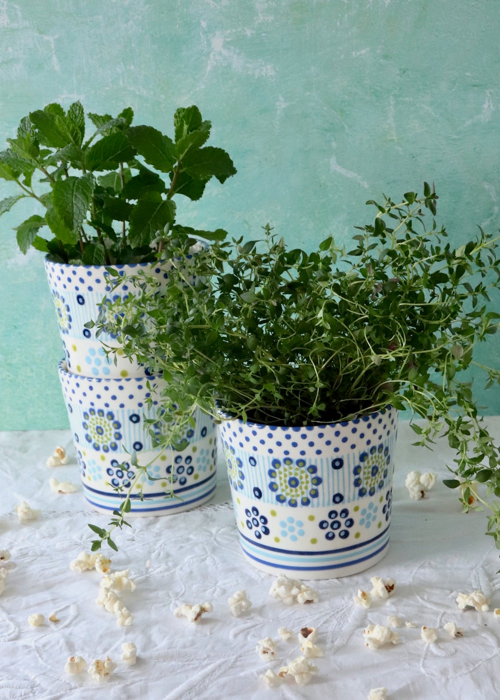 Herb Pot - White & Blue