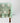 Green floral patterned tablecloth on a wooden table against a white background
