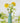 Bud Vase - 34