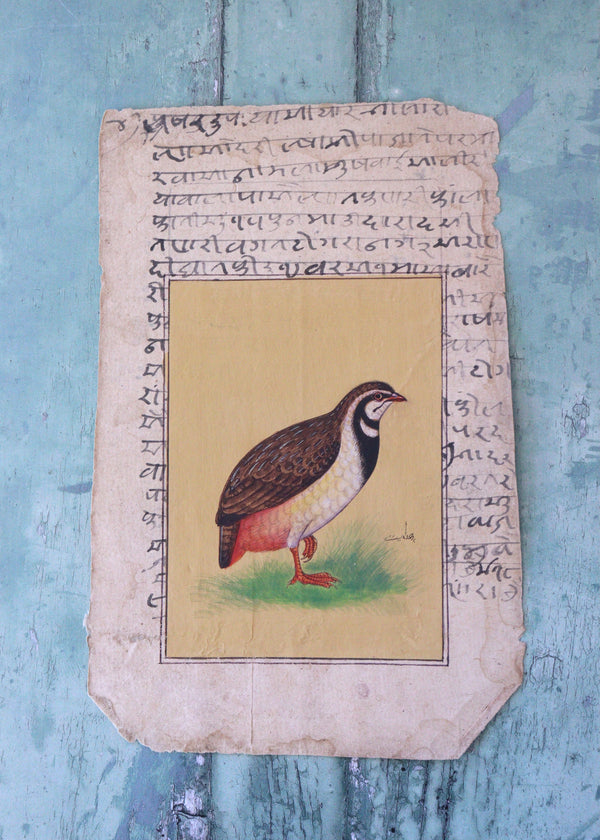 Indian Bird Painting 78