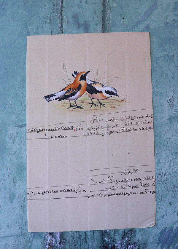 Indian Bird Painting 69