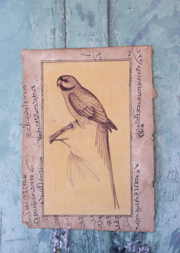 Indian Bird Painting 56