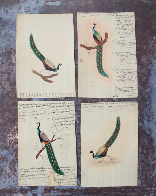 Indian Peacock Paintings Set 3