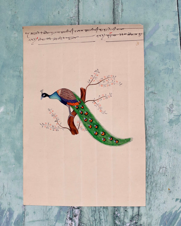 Indian Bird Painting Peacock 1
