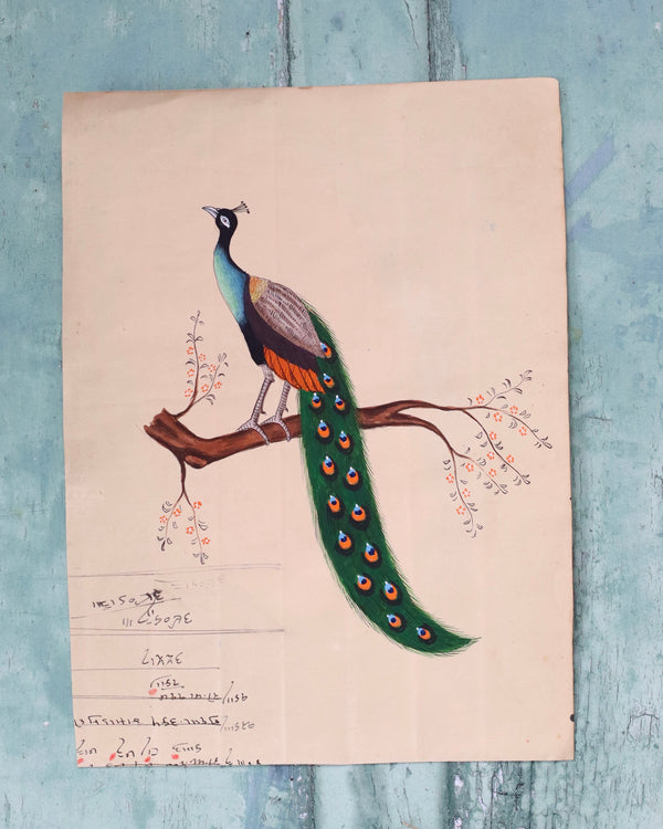 Indian Bird Painting Peacock 4