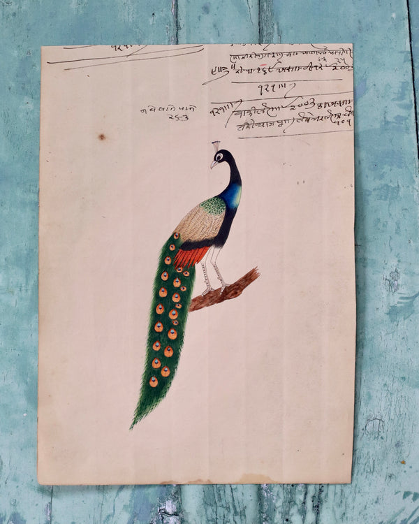 Indian Bird Painting Peacock 7