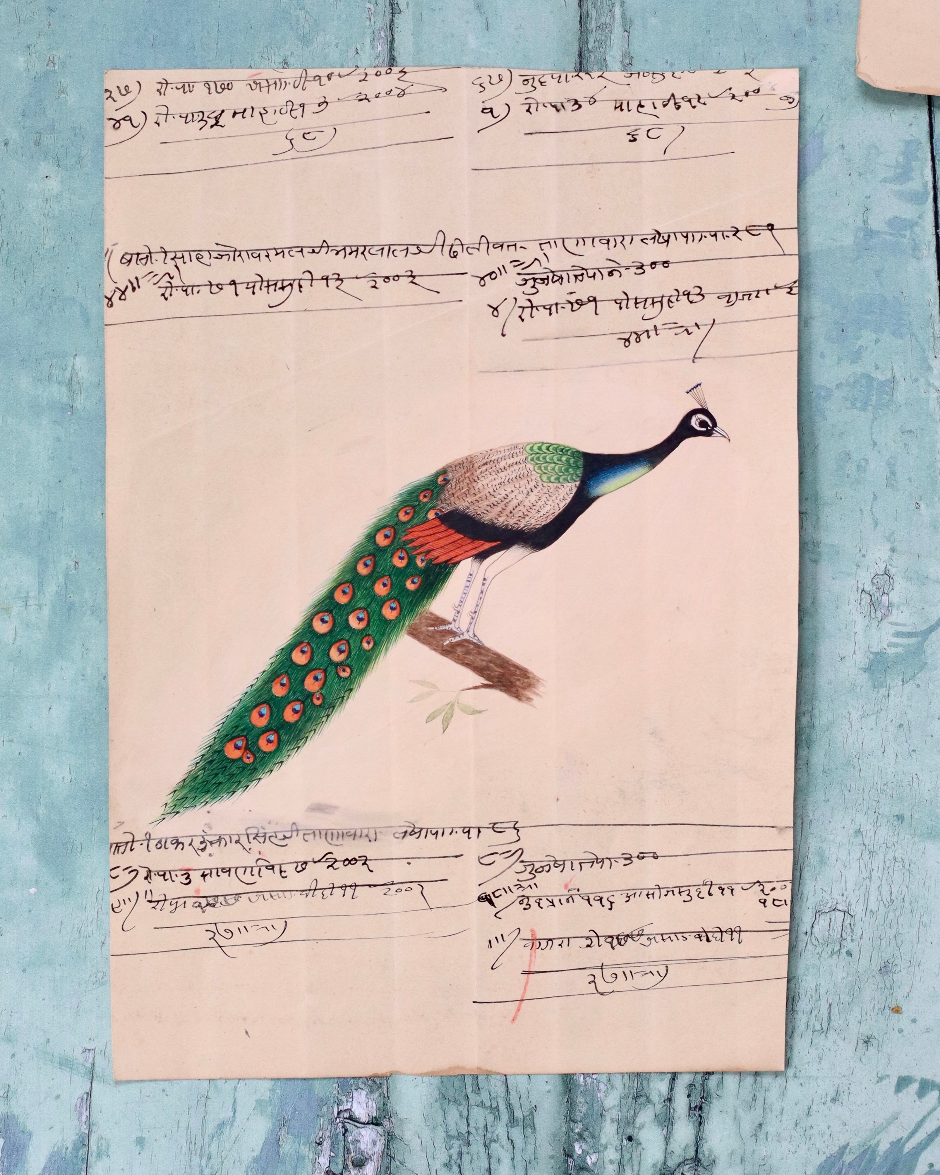 Indian Bird Painting Peacock 10