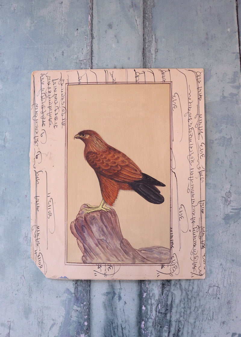 Indian Bird Painting 43