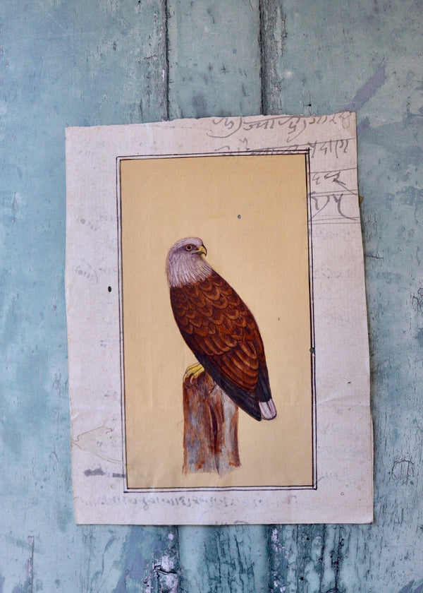 Indian Bird Painting 27