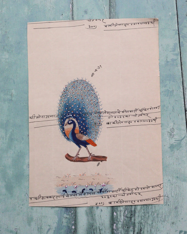 Indian Bird Painting Peacock 16